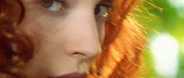 Epicea Color
